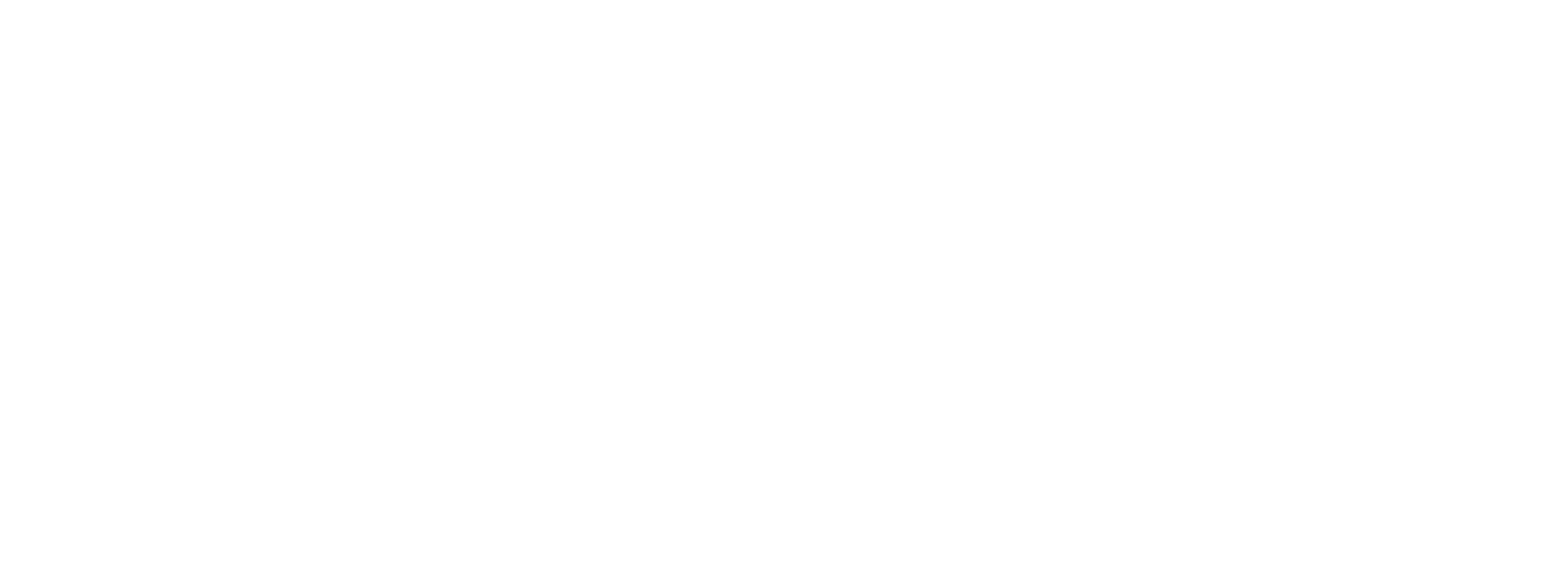 DIVEL ITALIA